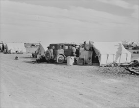 Squatter camp on county road near Calipatria, 1937. Creator: Dorothea Lange.