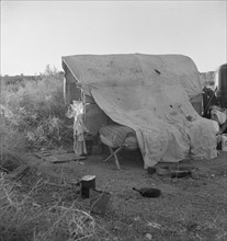 Oklahomans encamped on a river bottom near Holtville, California, 1937. Creator: Dorothea Lange.