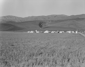 Migratory labor camp in the Santa Clara Valley, near San Jose, California, 1937. Creator: Dorothea Lange.
