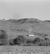 Soil erosion in California hills, small dairy ranch near Gibson, California, 1937. Creator: Dorothea Lange.