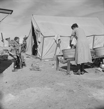 Washing facilities for families in migratory pea pickers' camp, Imperial Valley, California, 1937. Creator: Dorothea Lange.
