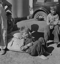Children of Oklahoma migrants, near Calipatria, California, 1937. Creator: Dorothea Lange.