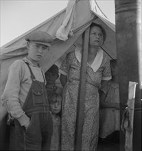 Refugee family from the Rio Grande Valley, Texas, near Holtville, California, 1937. Creator: Dorothea Lange.