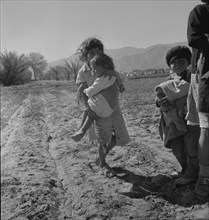 Children of migratory Mexican field workers, Coachella Valley, California, 1937. Creator: Dorothea Lange.