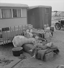 Children from Chickasaw, Oklahoma, in a potato pickers' camp near Shafter, California, 1937. Creator: Dorothea Lange.