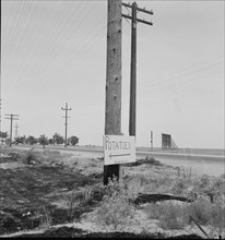 Sign on USHighway 99 near Shafter, California, 1937. Creator: Dorothea Lange.