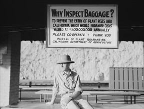 California state quarantine inspection station at Yuma, Arizona, 1937. Creator: Dorothea Lange.