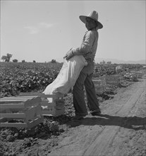 Mexican melon picker of the Imperial Valley, unloading his bag, California, 1937. Creator: Dorothea Lange.