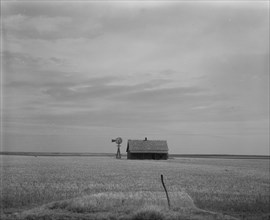 Abandoned house of small farmer, Southwest Oklahoma, 1937. Creator: Dorothea Lange.