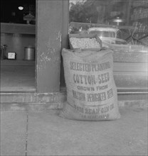 Front of general store in small cotton town, Texas, 1937. Creator: Dorothea Lange.