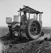 Tractor and operator, Navarro, Texas, 1937. Creator: Dorothea Lange.