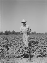 Sharecropper of the Mississippi Delta, Issaquena County, Mississippi, 1937. Creator: Dorothea Lange.