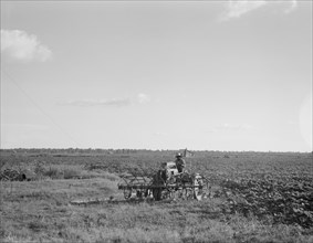 Aldridge Plantation, Mississippi, 1937. Creator: Dorothea Lange.