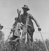 Day laborer near Oil City, Carter County, Oklahoma, 1937. Creator: Dorothea Lange.