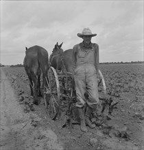 Ex-tenant farmer, now a day laborer on large cotton farm near Corsicana, Texas, 1937. Creator: Dorothea Lange.