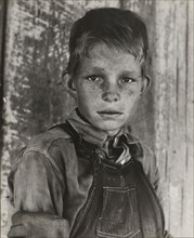 Twelve year old son of a cotton sharecropper near Cleveland, Mississippi, 1937. Creator: Dorothea Lange.