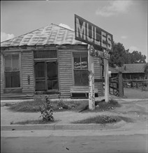 Services for Negroes in a Mississippi Delta town, Leland, Mississippi, 1937. Creator: Dorothea Lange.