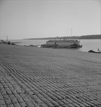 The municipal levee at Greenville, Mississippi, 1937. Creator: Dorothea Lange.