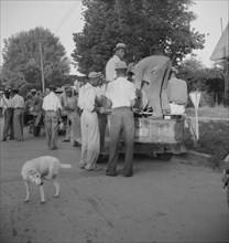 Negro cotton hoers, Greenville, Mississippi, 1937. Creator: Dorothea Lange.
