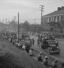 Cotton hoers, Memphis, Tennessee, 1937. Creator: Dorothea Lange.