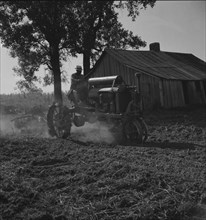 Tractor and driver on the Aldridge Plantation, Mississippi, 1937. Creator: Dorothea Lange.