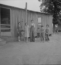 Part of a family of ten children who live and farm in the area, Arkansas, 1937. Creator: Dorothea Lange.