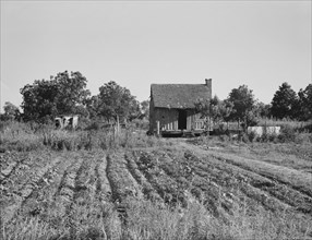 Home of Mississippi tenant farmer, 1937. Creator: Dorothea Lange.