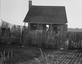 House on a cotton plantation in the Louisiana delta, 1937. Creator: Dorothea Lange.