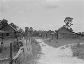 Careyville, northern Florida, 1937. Creator: Dorothea Lange.