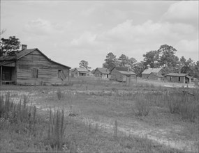A sawmill village, abandoned after the closing of the mill, Careyville, Florida, 1937. Creator: Dorothea Lange.