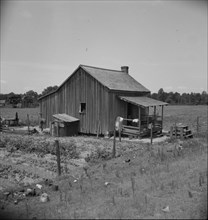 Home of turpentine workers near Godwinsville, Georgia, 1937. Creator: Dorothea Lange.
