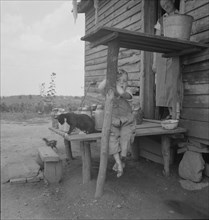 Child of sharecropper, near Gaffney, South Carolina, 1937. Creator: Dorothea Lange.