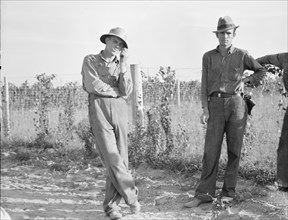 FSA cooperative farm, Lake Dick, Arkansas, 1939. Creator: Dorothea Lange.