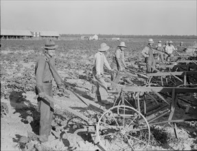 Farmers about to begin cooperative cultivation of cotton at Lake Dick project, Arkansas, 1938. Creator: Dorothea Lange.