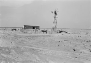 Barn and shed of farm in the Texas Panhandle, near Boise City, Texas, 1938. Creator: Dorothea Lange.