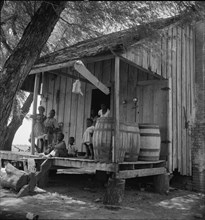 Water barrels on plantation cabin in Brazos riverbottoms, near Bryan, Texas, 1938. Creator: Dorothea Lange.