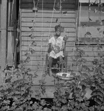 Butter bean vines across the porch, negro quarter in Memphis, Tennessee, 1938. Creator: Dorothea Lange.