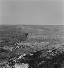 Desert and highway west of Roswell, New Mexico, 1938. Creator: Dorothea Lange.