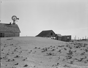 Dust Bowl farm, Coldwater District, near Dalhart, Texas, 1938. Creator: Dorothea Lange.
