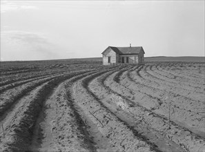 Power farming displaces tenants from the land..., Childress County, Texas Panhandle, 1938. Creator: Dorothea Lange.