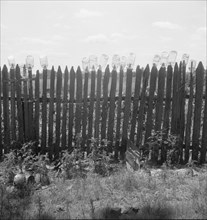 Fruit jars being sterilized near Conway, Arkansas, 1938. Creator: Dorothea Lange.