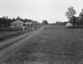 Delta cooperative farms in 1938, Hillhouse, Mississippi, 1938. Creator: Dorothea Lange.