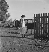 Wife of Farm Security Administration rural rehabilitation client, Tulare County, California, 1938. Creator: Dorothea Lange.