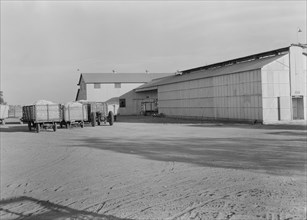 Tulare cooperative cotton gin, Tulare County, California, 1938. Creator: Dorothea Lange.