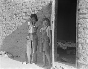 Drought refugee families... supplanting Mexican laborers in the Southwest, Chandler, Arizona, 1937. Creator: Dorothea Lange.