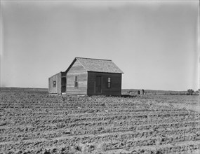 Cultivated fields and abandoned tenant house, Hall County, Texas, 1937. Creator: Dorothea Lange.