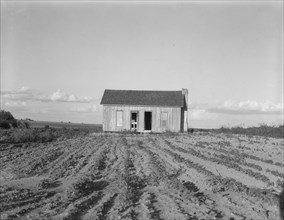 Abandoned tenant house, Childress County, Texas, 1937. Creator: Dorothea Lange.