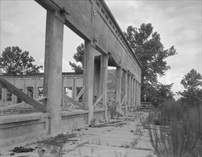 Remains of drug store at Fullerton, Louisiana, an abandoned lumber town, 1937. Creator: Dorothea Lange.