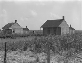 Cabins for sugarcane workers, Bayou La Fourche, Louisiana, 1937. Creator: Dorothea Lange.