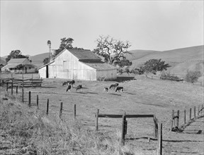 Small farm of California, Contra Costa County, 1938. Creator: Dorothea Lange.